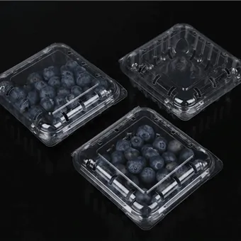 Emballage à clapet de myrtille, boîte d'emballage de fruits frais coupés, emballage de fruits, emballage de conteneur de fruits à clapet de myrtille